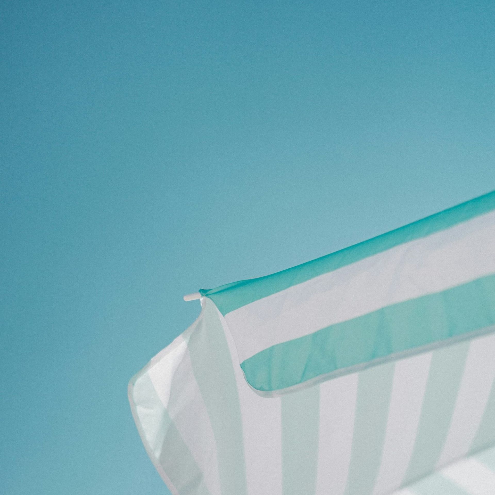 Divine Revelation: Nature's Song and Scripture's Word