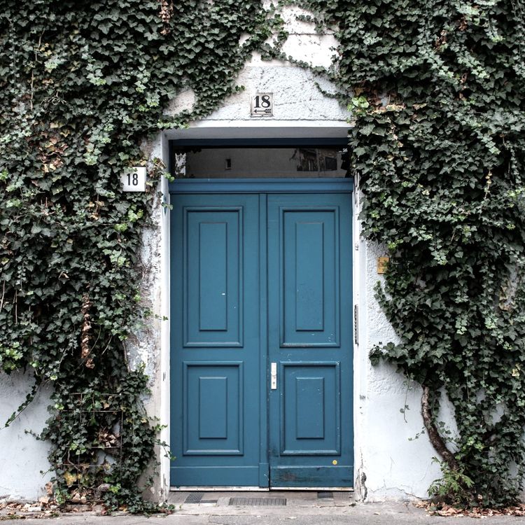 The Birthplace of a King