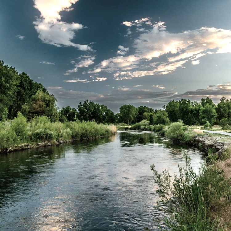 In the Beginning, A River