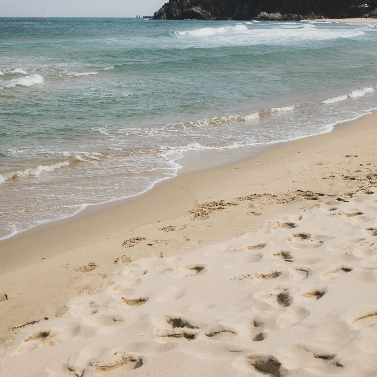 I Believe: The Gospel