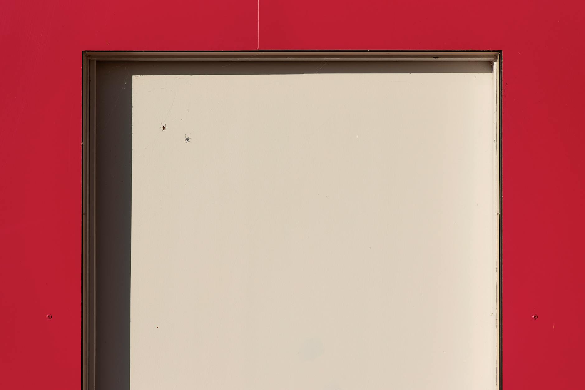 2026年亲测：移动平均线MA怎么用的5个避坑指南