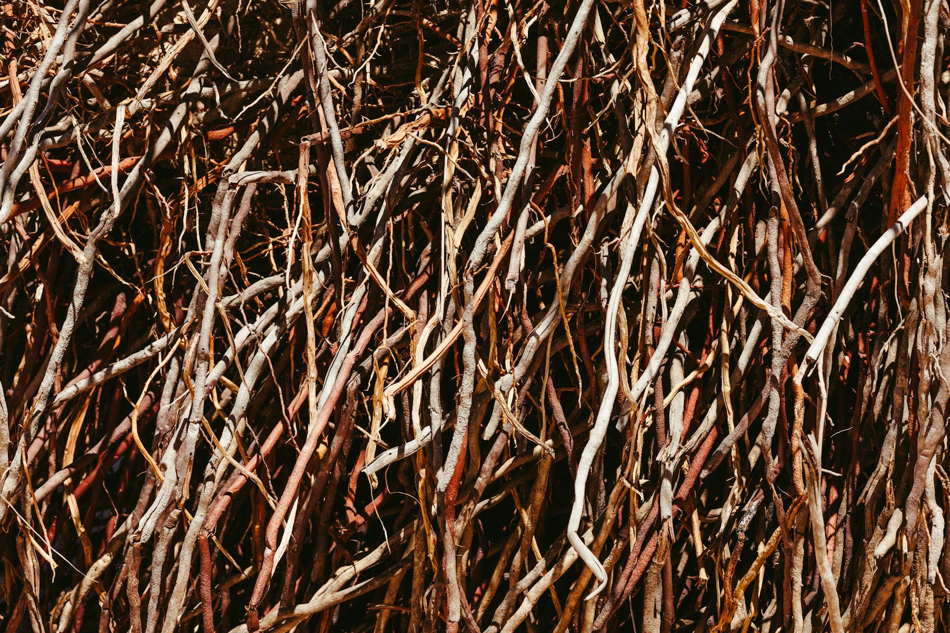 2026年亲测：全稀释估值FDV是什么5招防坑