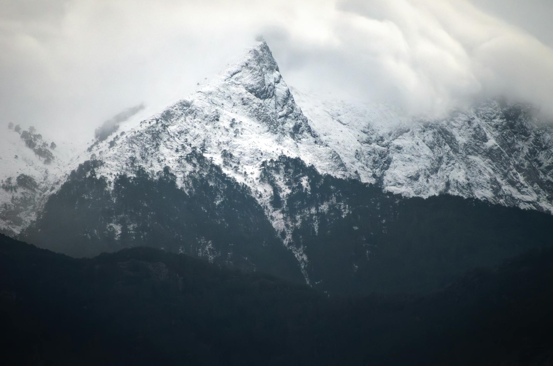 2026年亲测：比特币长期持有vs短线交易的4大技巧