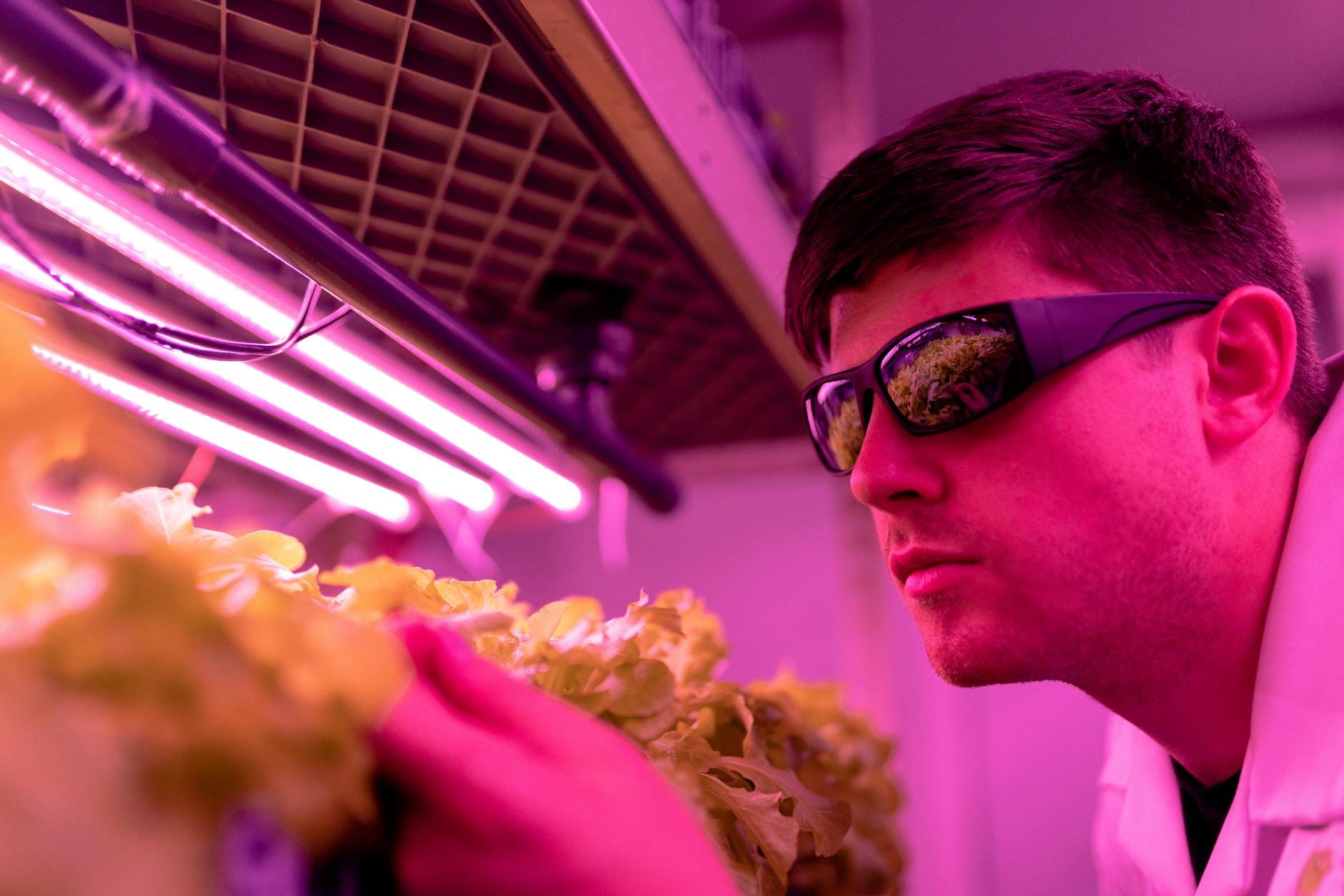 2026年亲测：yield farming收益耕作的5个避坑指南