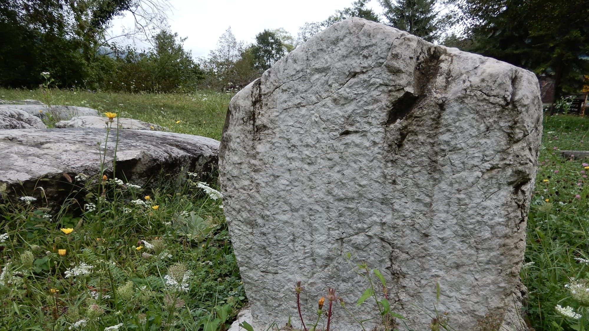 Mramorje Nekropolis ved Perućac i Serbien stammer fra 1300-tallet. (Jimmy Munk Larsen)