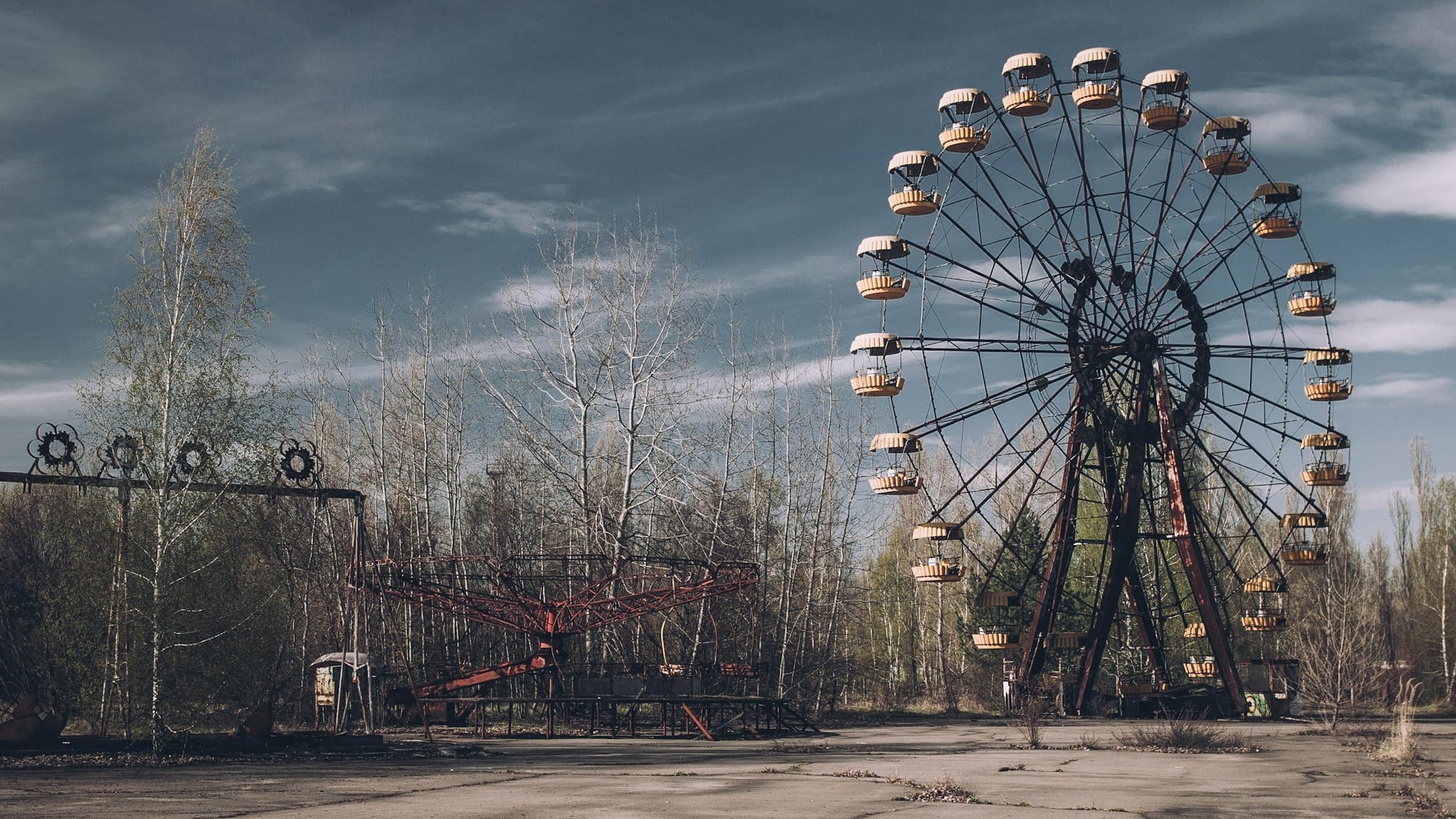 a large ferris wheel sitting in the middle of a forest