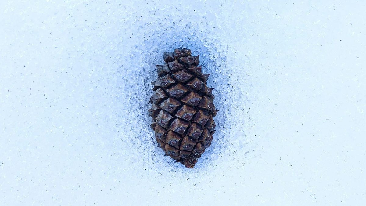 Macrons tikkende Balkanbombe