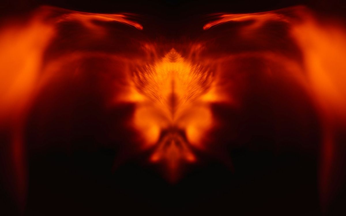 Djukanovic, Montenegros politiske fugl Fønix