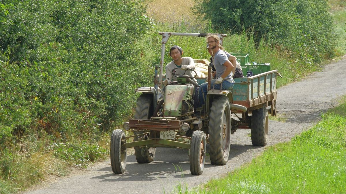 Sådan bryder danske landmænd kulturbarrierer i Slovakiet