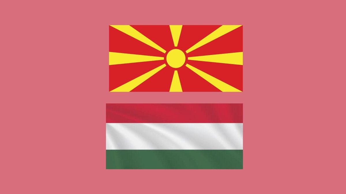 Lynhurtig asylbehandling til Orbans kammerat