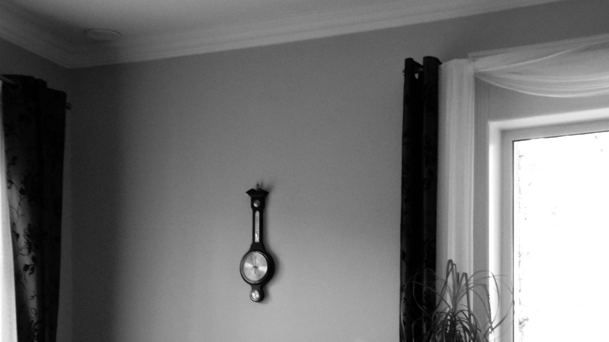 “Idas” favntag – filmen der både fascinerer og skaber kontroverser