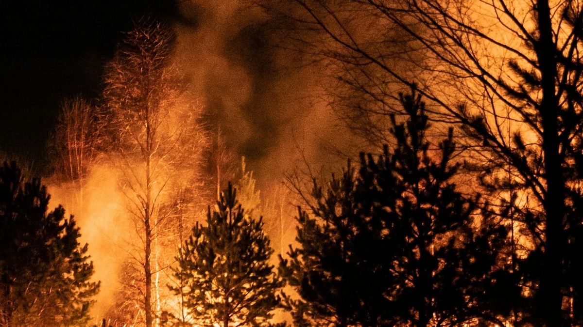 Skovbrande ved Tjernobyl skaber uro