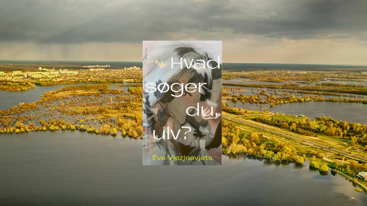 Hvad søger du, ulv?