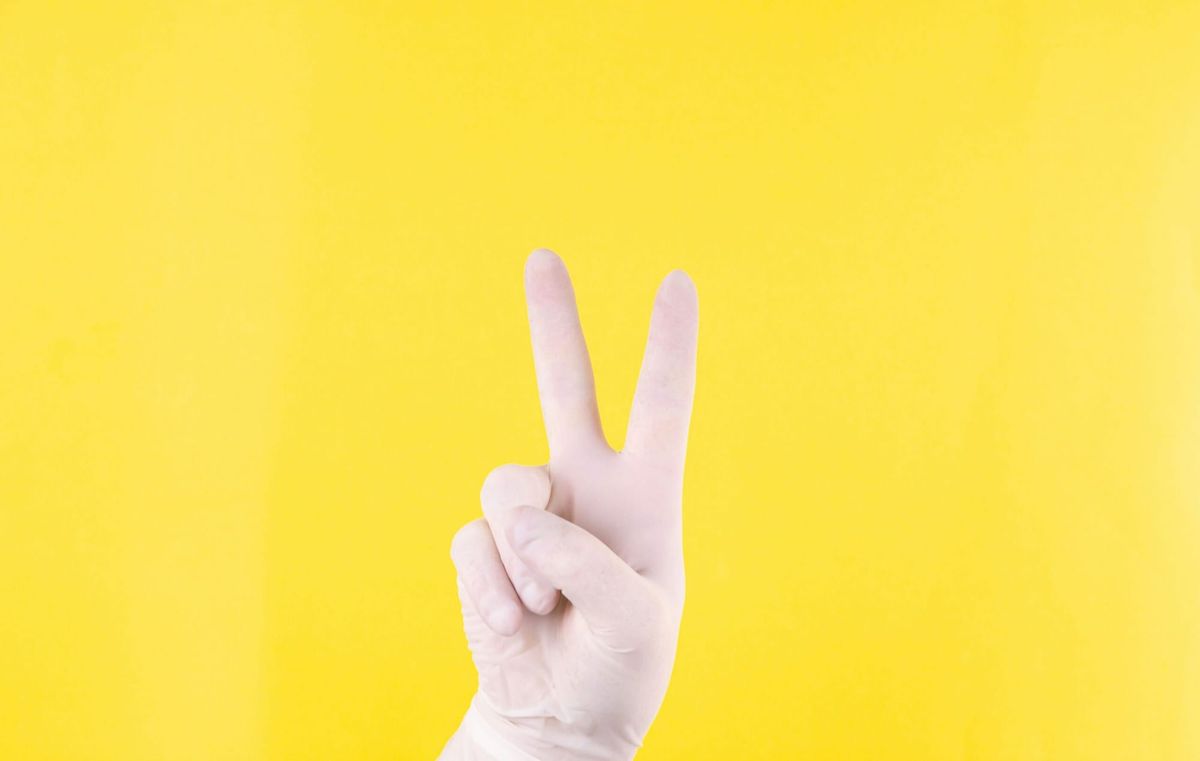 Moldova - landet med to regeringer og to præsidenter!