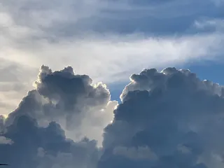 扉の夏