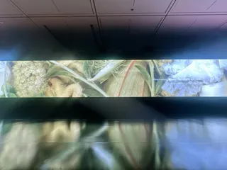 『ノルウェイの森』と、傷つくこと