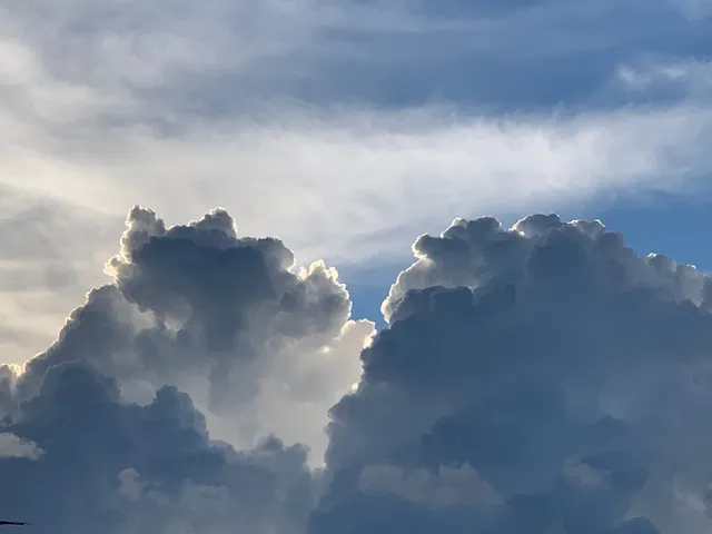 扉の夏