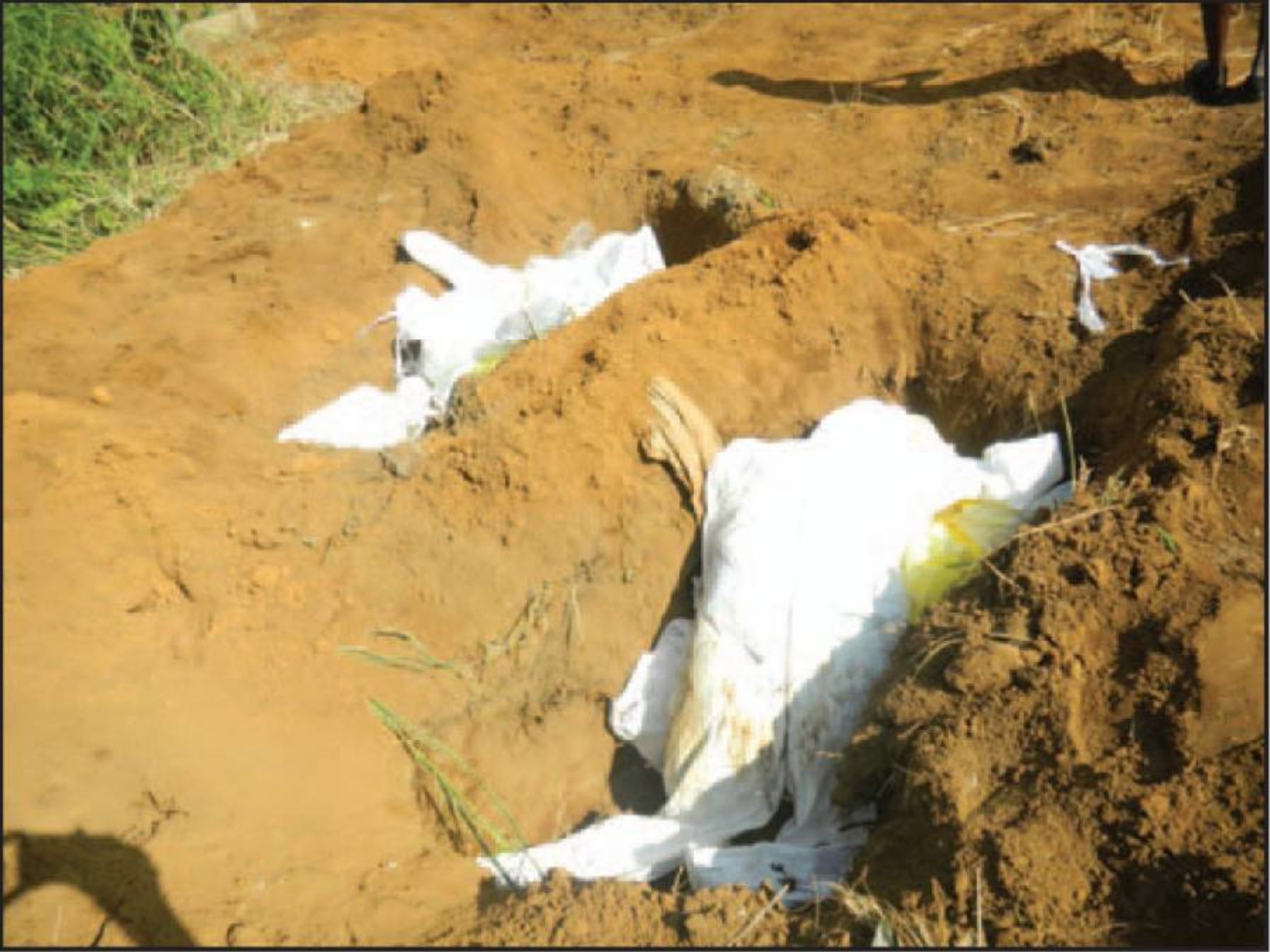 Two Sierra Leonean bodies lay covered in soiled PPE and medical waste in shallow, unmarked graves.