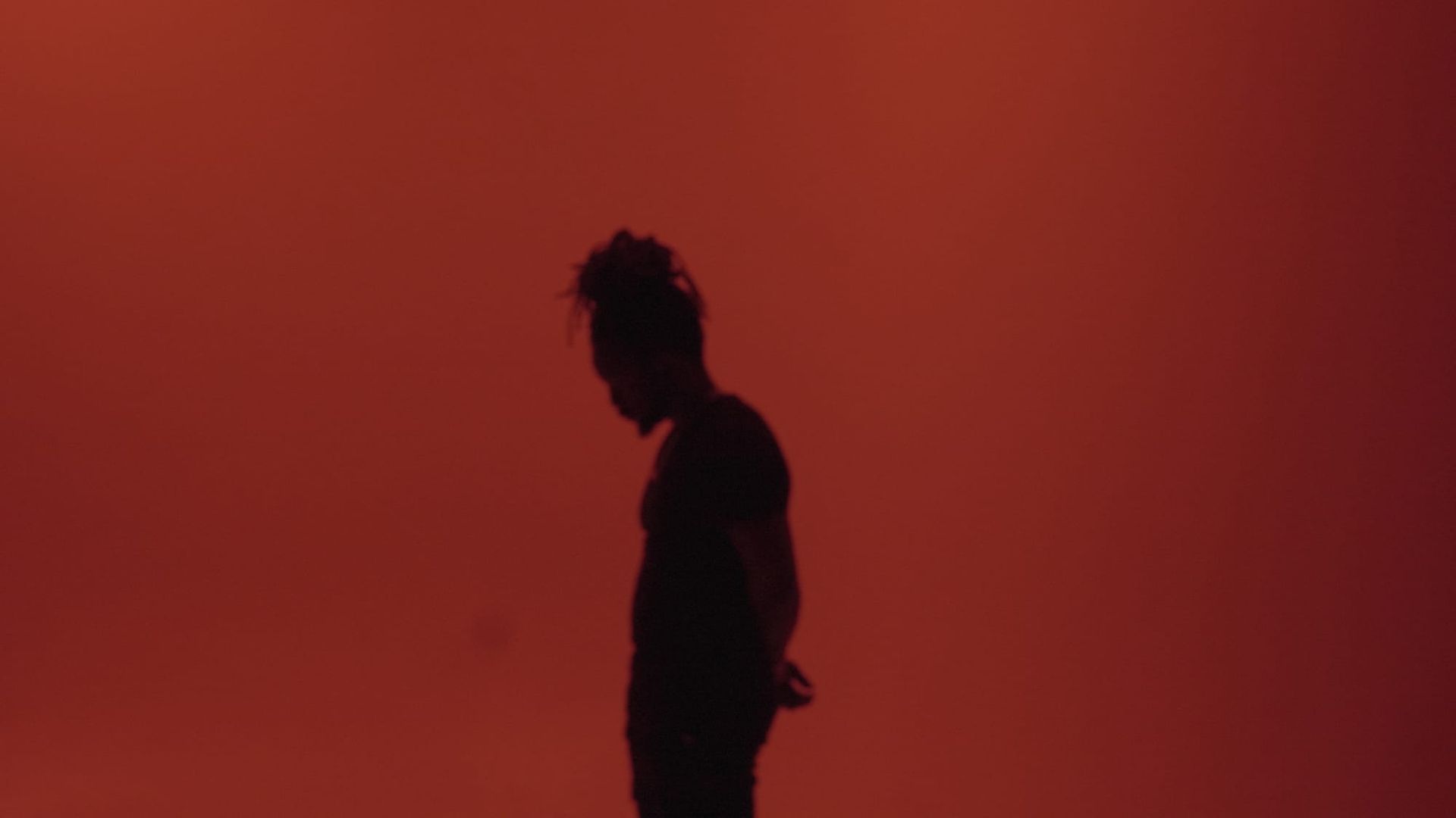Is Alex Auguste The Best Videographer In Tampa Bay?