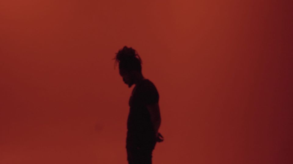 Is Alex Auguste The Best Videographer In Tampa Bay?