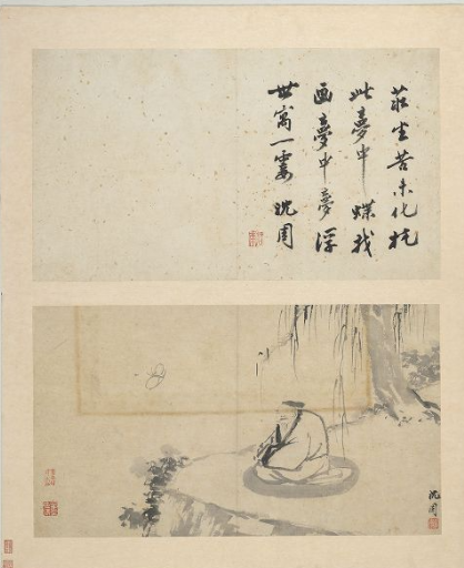 On silkworms and butterflies