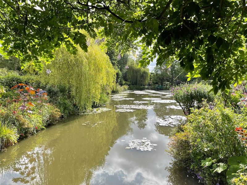 The slumbering trees