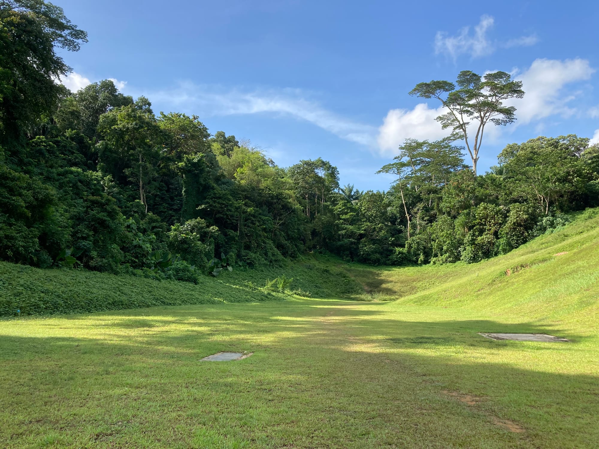 A green plain edged by a dense secondary forest 