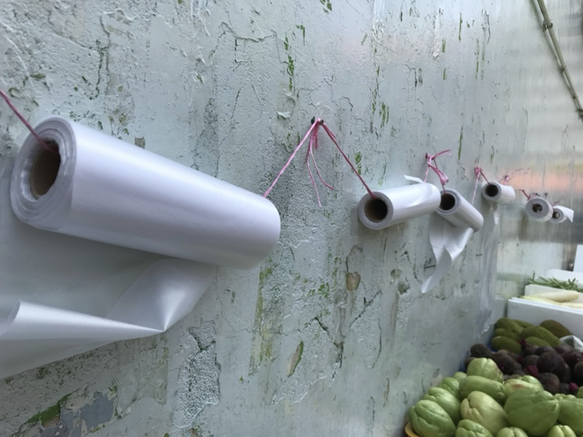 Rolls of plastic bags for bagging fruit and greens are strung up with a pink string on a wall.