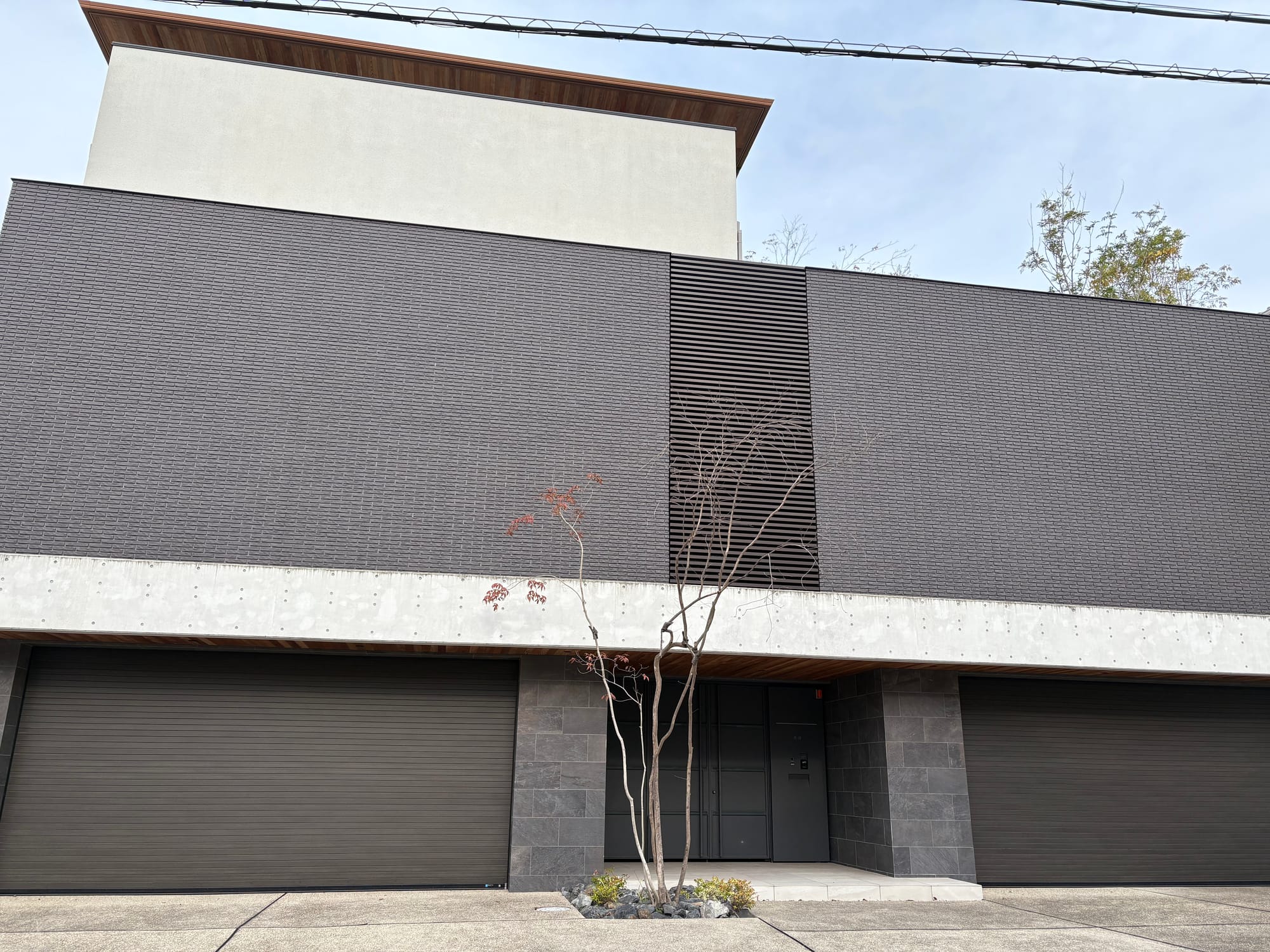 A boxy house with no windows and a small tree in front.