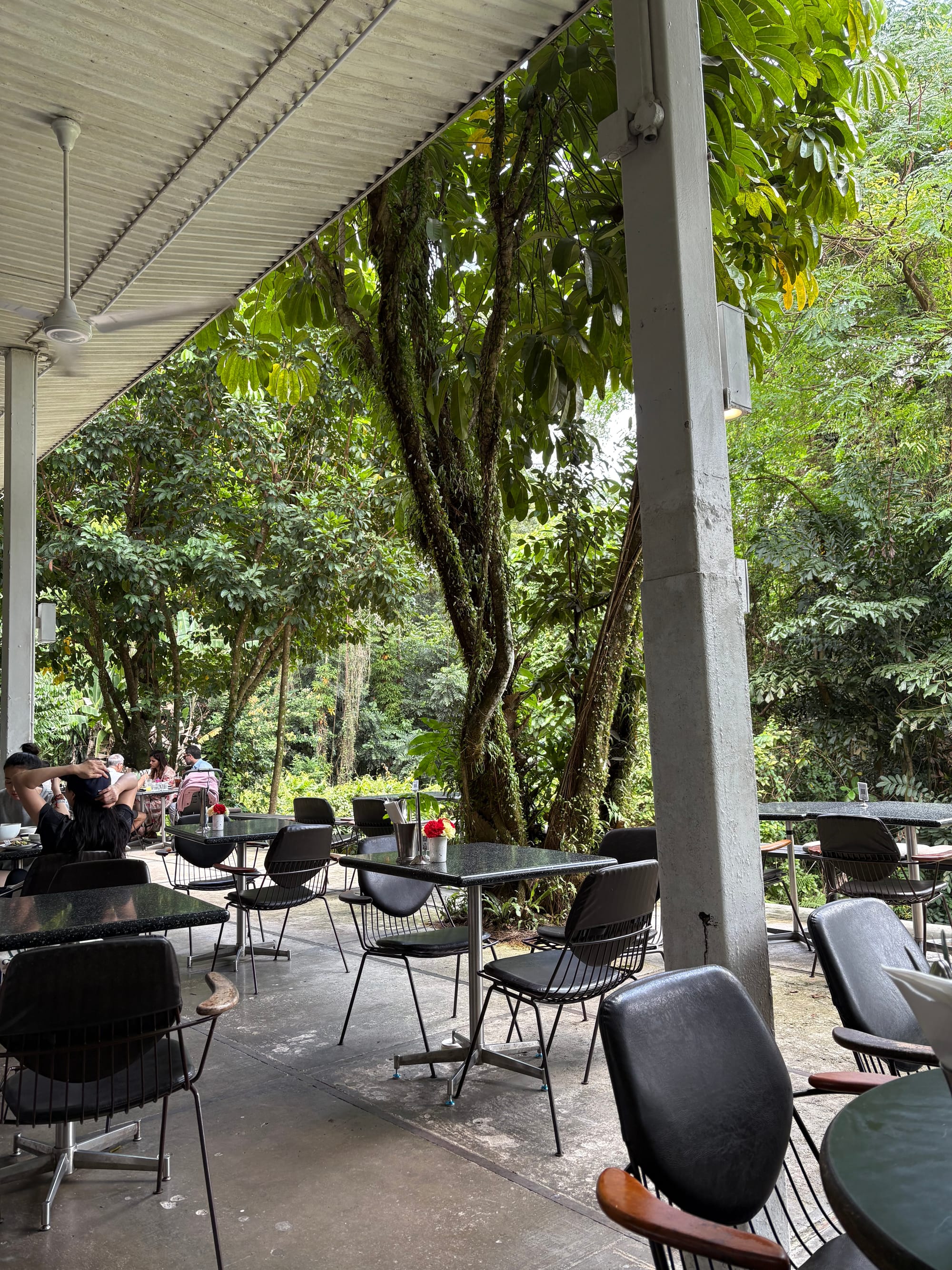 An outdoor terrace with chairs and tables. In the distance is dense greenery.