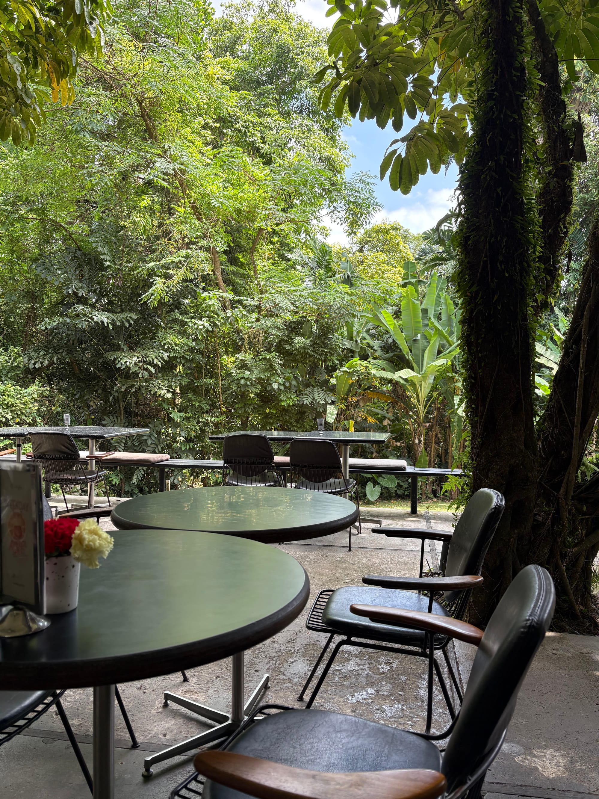 Empty cafe chairs and tables against the backdrop of textured jungle greenery.