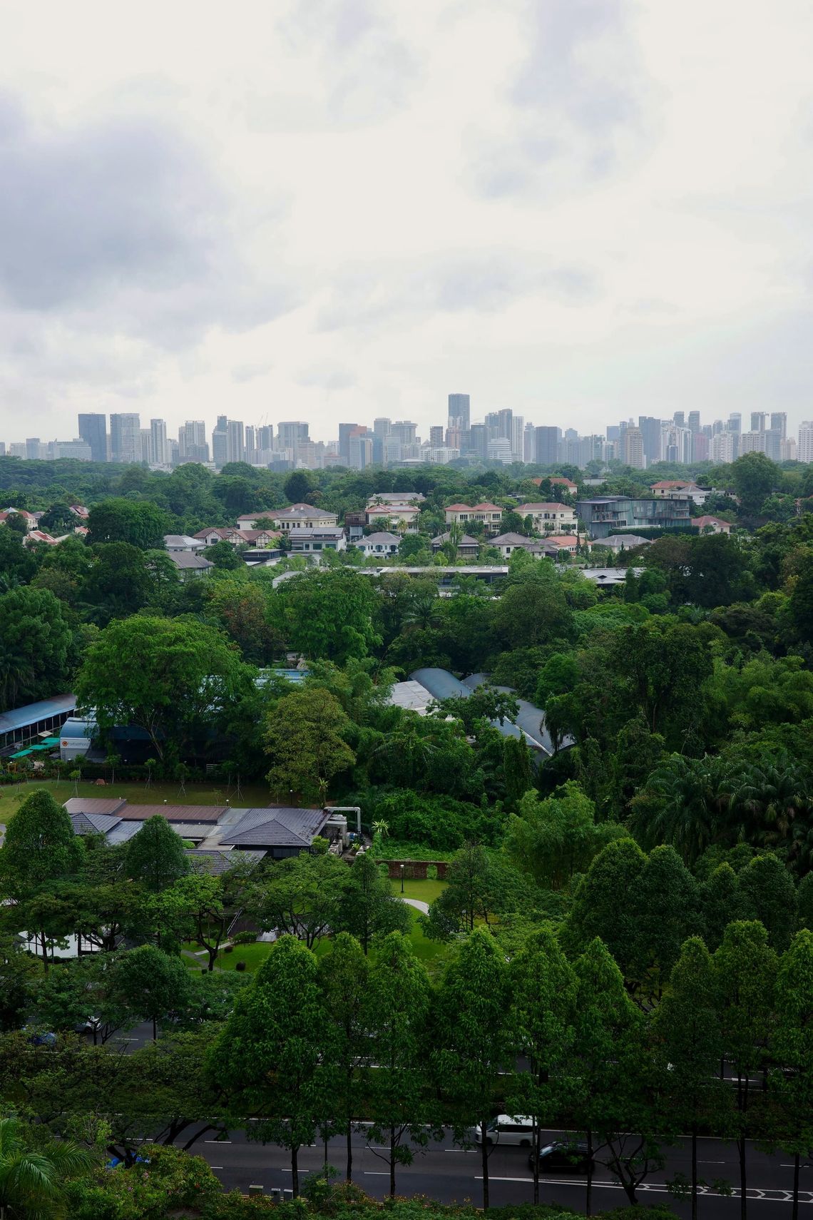 Skyscrapers in the distance, with trees and houses in the foreground.