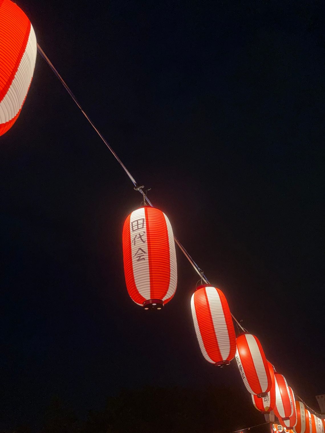 A string of red and white lanterns against a black night s