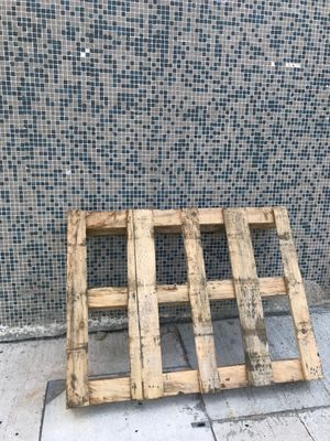 The Surprise of Found Beauty