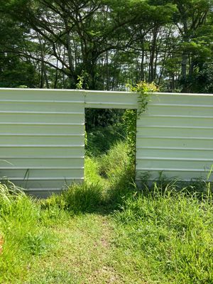 A Singapore Diary: Part II