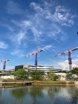 A Singapore Diary: Part I