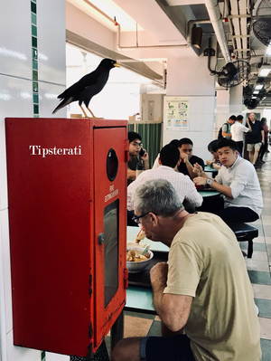 A Singapore Travel Itinerary: Part I