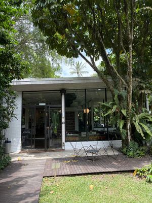 Jungle Chic