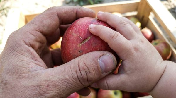 Bio-Lebensmittel für Kinder: der eine Hebel, den Sie selbst in der Hand haben