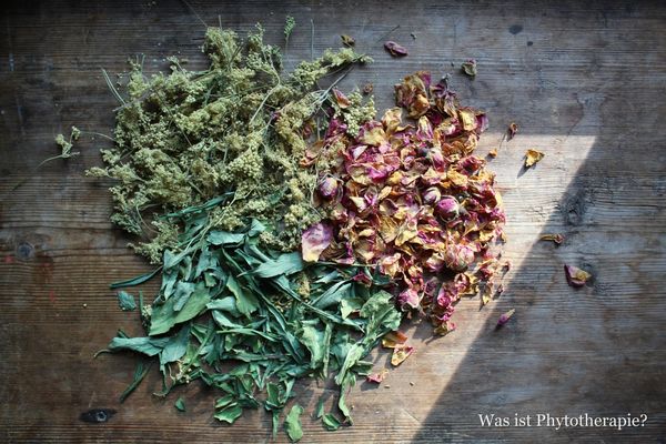 Sanft heisst nicht wirkungslos. Und Phytotherapie ist nicht Homöopathie.