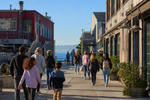 20 Best Things To Do In Monterey: Coastal Views, Wildlife, And Cannery Row