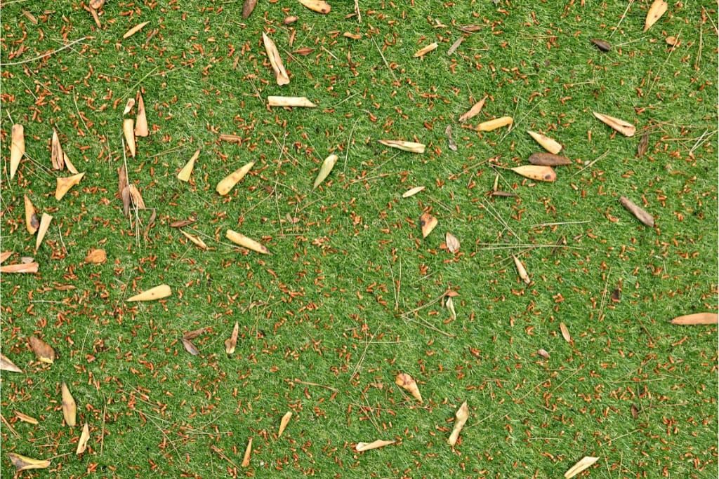 How To Remove Leaves From Artificial Grass