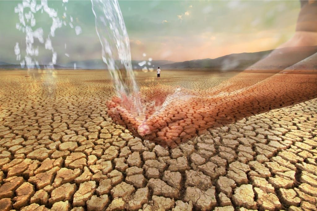 How To Conserve Water During A Drought For Resource Preservation