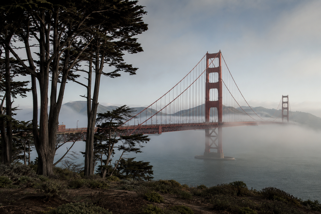 20 Best Things To Do In San Francisco You Can’t Miss