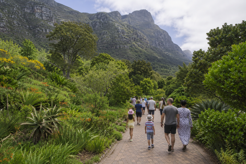 The Perfect 4-Day Cape Town Itinerary: Nature And Scenic Views