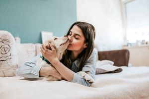 Top 10 Therapy Dog Breeds For Anxiety and Depression