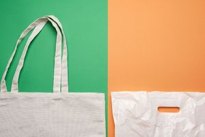 5 Green Living Myths Exposed