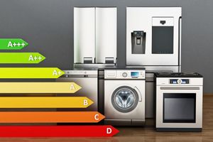 10 Sustainable Living Tips To Make Your Home Eco-Friendly