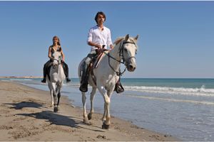 15 Horseback Riding Tips For Beginners On Vacation To Enhance The Experience