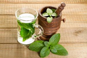11 Health Benefits Of Fresh Mint Leaves That Help Improve Overall Health